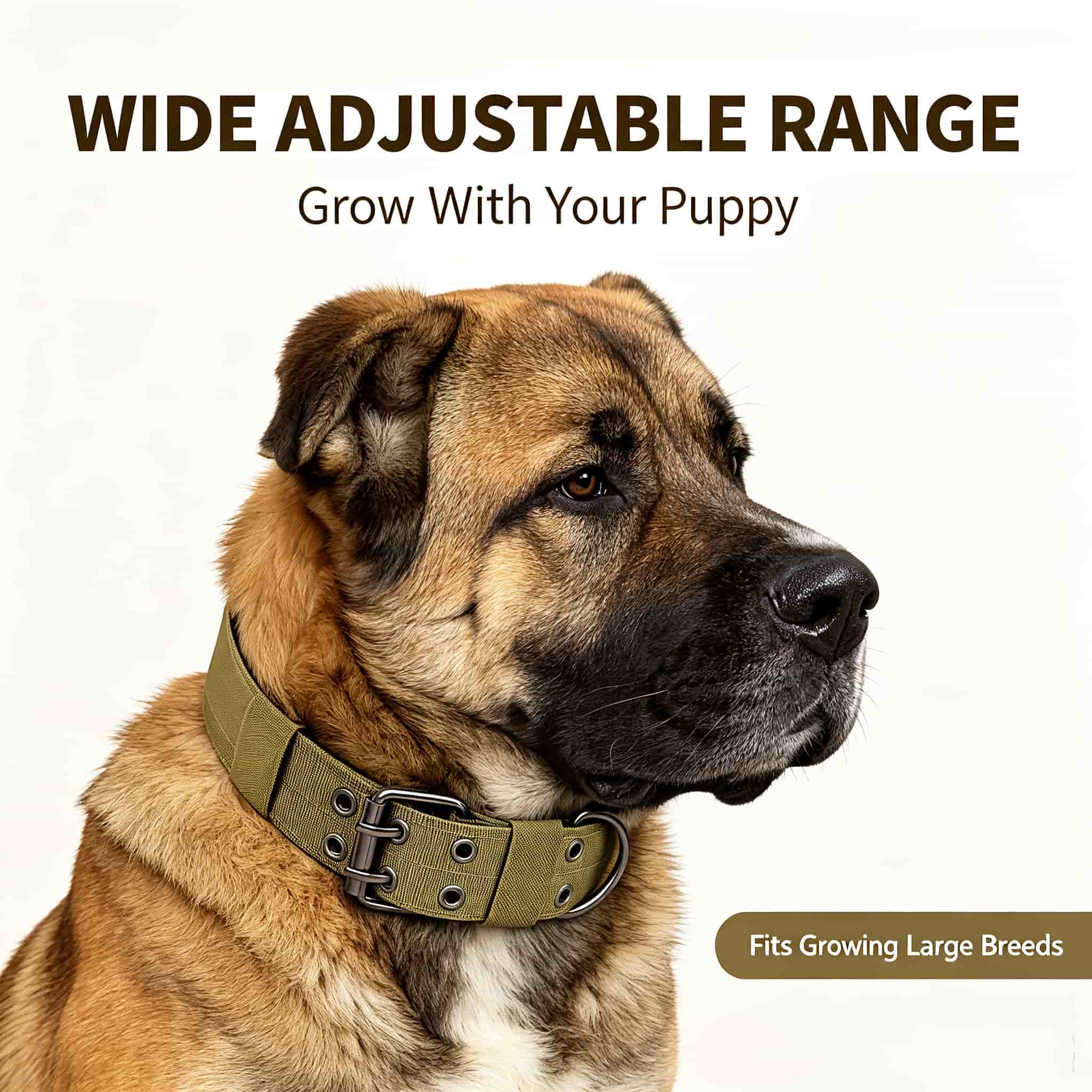 Outdoor Hunting Dog Collar - طوق تكتيكي للكلاب بتصميم كامو، مصنوع
