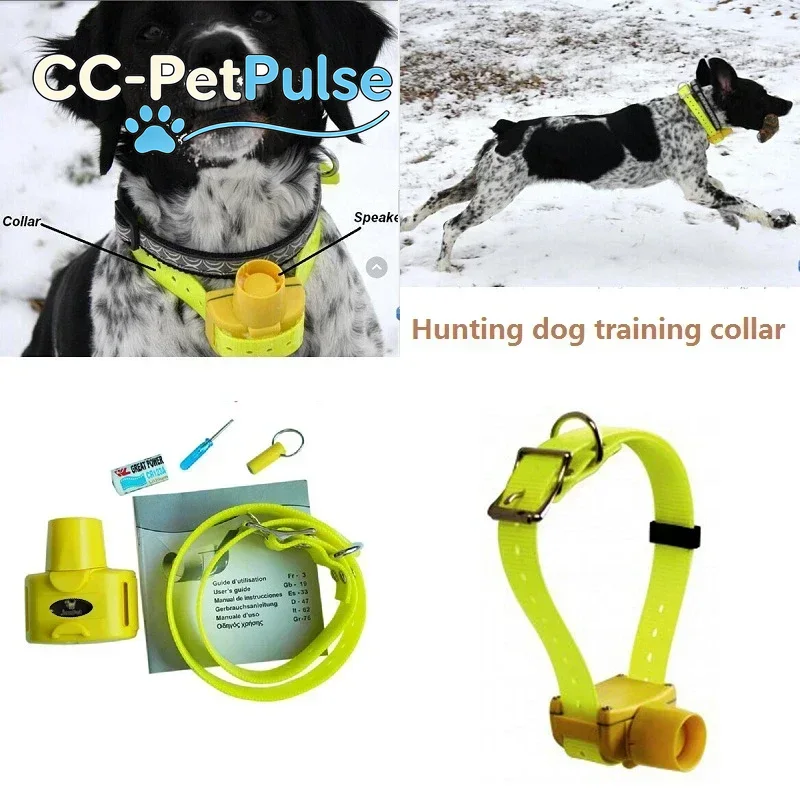 أطواق تنبيه للكلاب مقاومة للما - مراجعة Outdoor Hunting Dog Collar وسعره