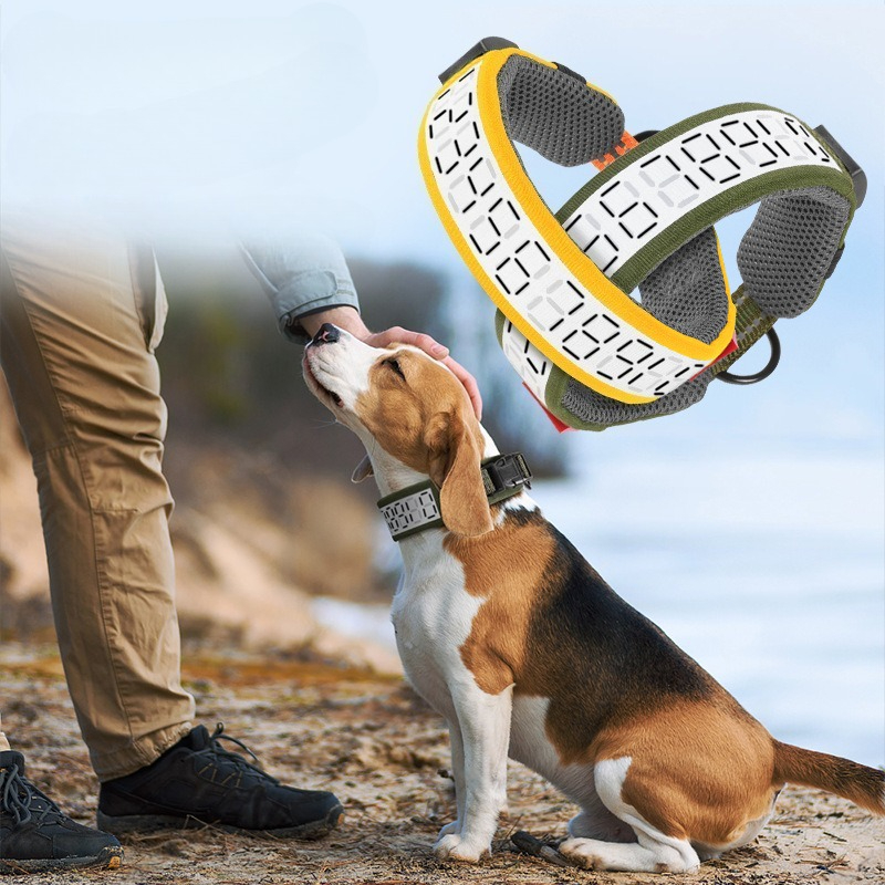 طوق عاكس للكلاب الكبيرة للاستخ - مراجعة Outdoor Hunting Dog Collar وسعره
