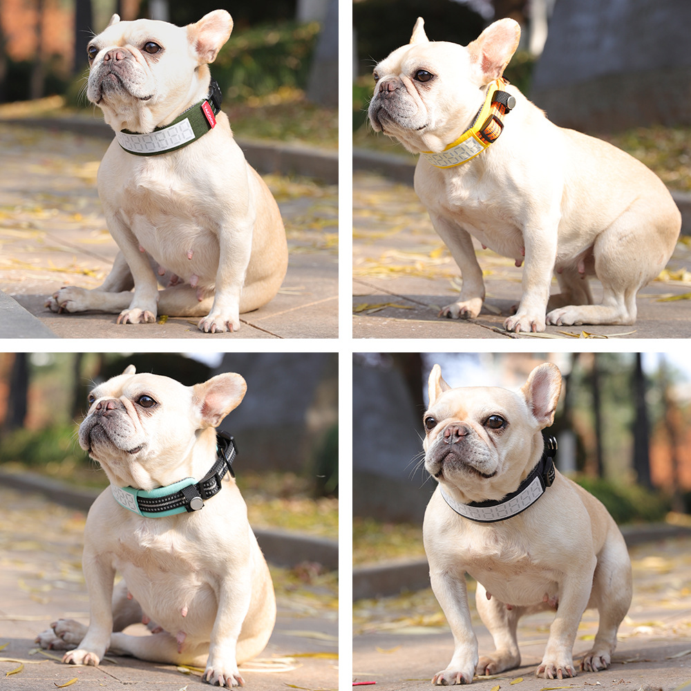 طوق عاكس للكلاب الكبيرة للاستخ - مراجعة Outdoor Hunting Dog Collar وسعره