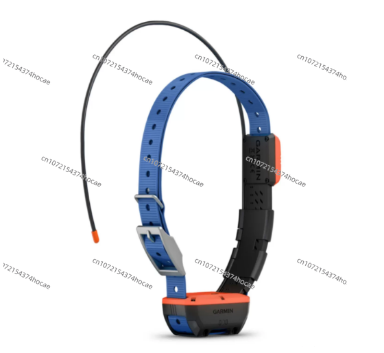معدات تحديد موقع الحيوانات الأ - مراجعة Outdoor Hunting Dog Collar وسعره