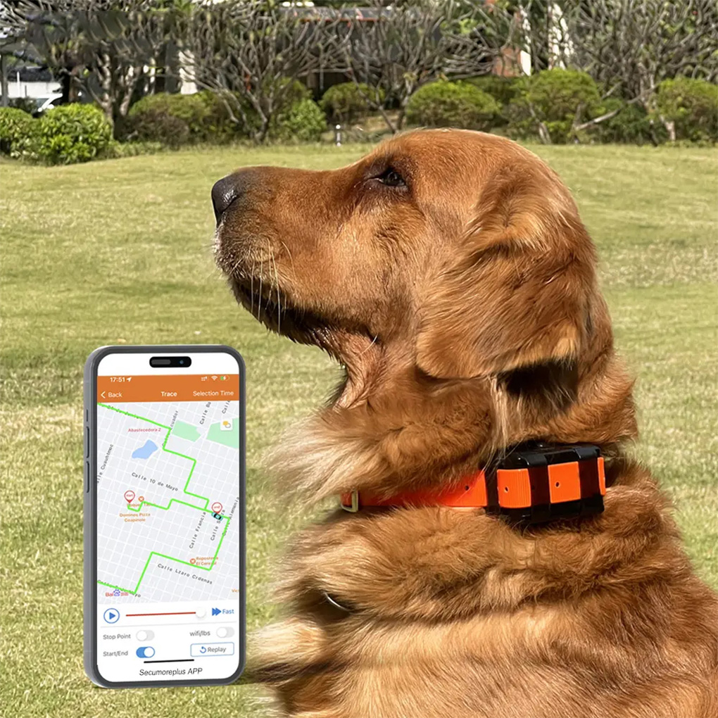 CY09A المحمولة جهاز تتبع الحيو - مراجعة Outdoor Hunting Dog Collar وسعره