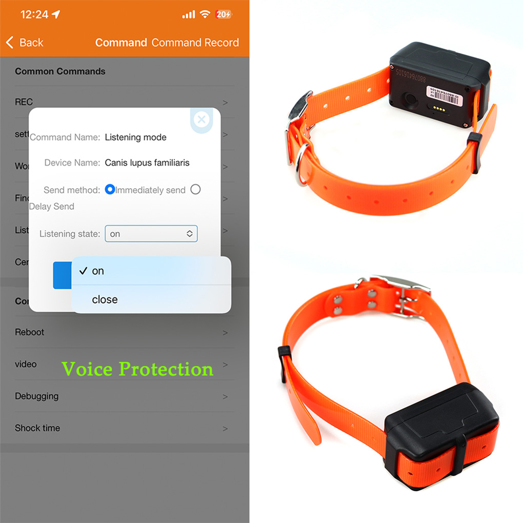 CY09A المحمولة جهاز تتبع الحيو - مراجعة Outdoor Hunting Dog Collar وسعره