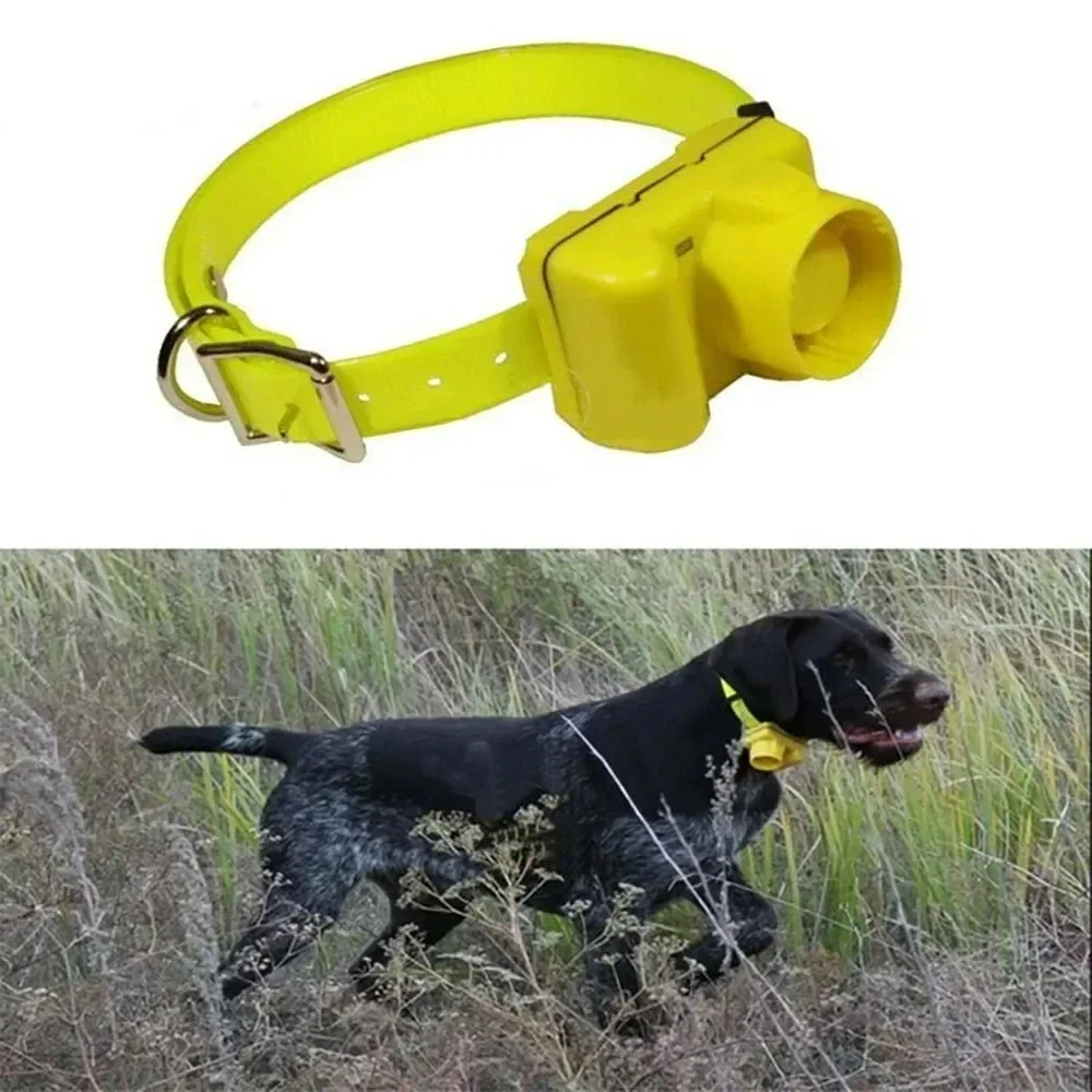 أطواق صافرة للكلاب للصيد في ال - مراجعة Outdoor Hunting Dog Collar وسعره