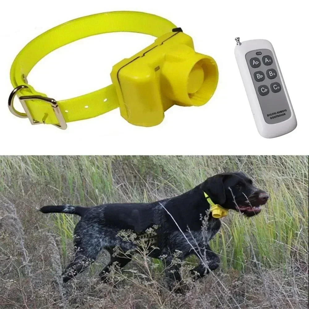 طوق تدريب الكلاب للصيد مقاوم ل - مراجعة Outdoor Hunting Dog Collar وسعره
