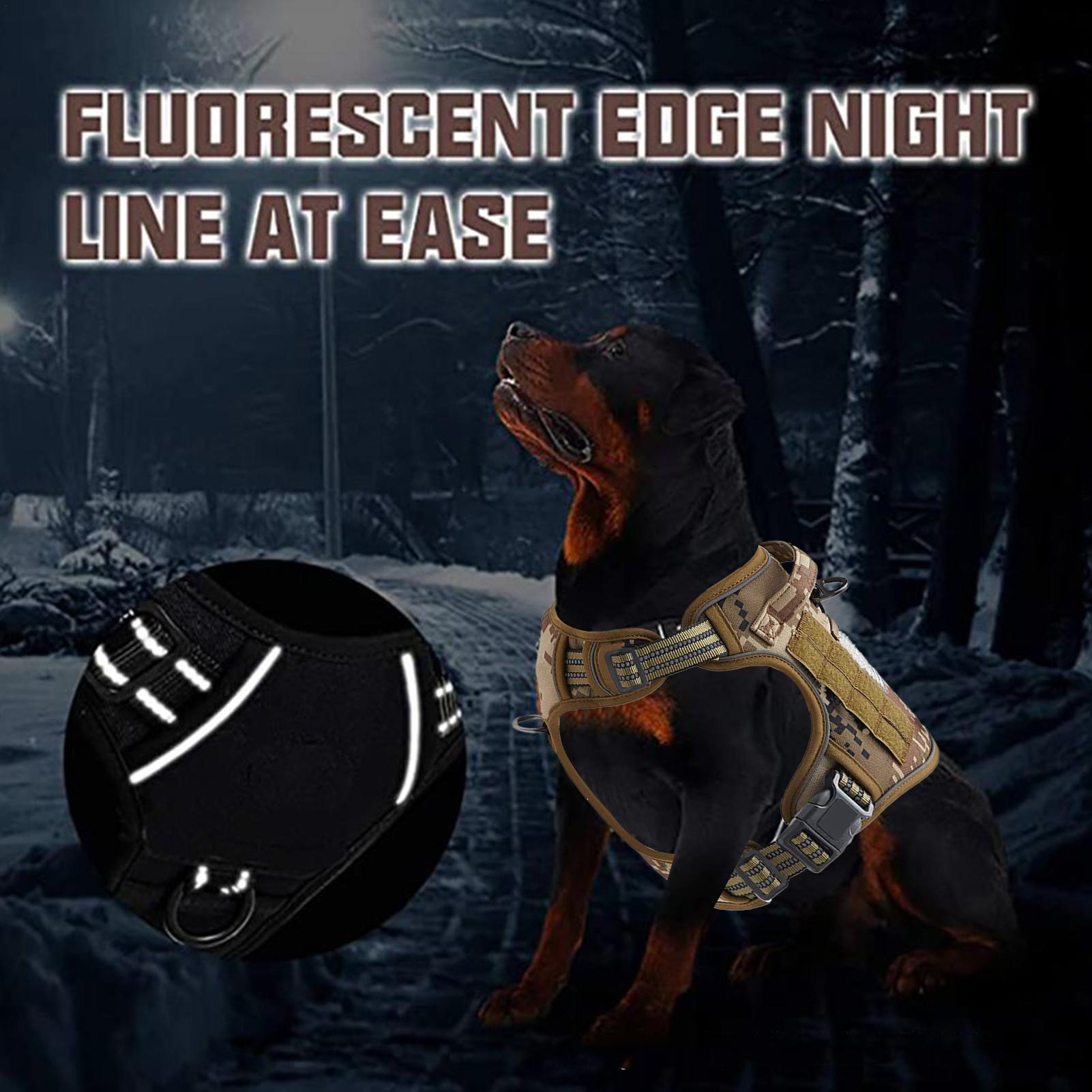 الكلب تسخير مشبك معدني الكلب ا - مراجعة Outdoor Hunting Dog Collar وسعره