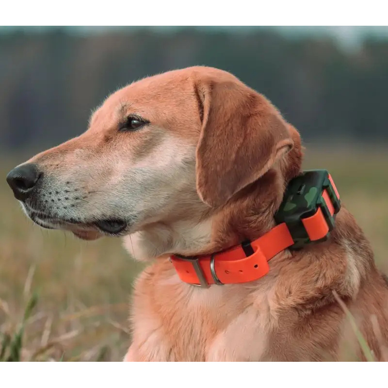 جهاز تتبع GPS للكلاب ICAR IK12 - مراجعة Outdoor Hunting Dog Collar وسعره