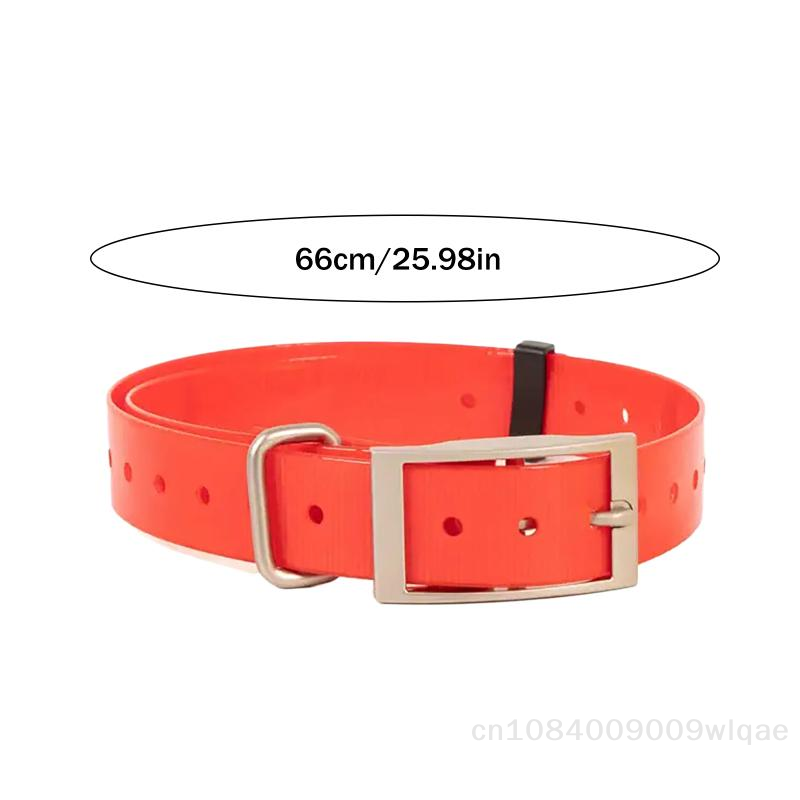 قلادة للكلاب ذات طوق أمان للحي - مراجعة Outdoor Hunting Dog Collar وسعره