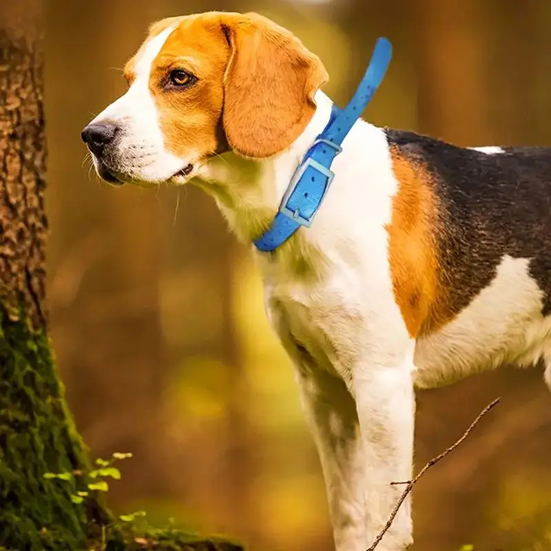 قلادة للكلاب ذات طوق أمان للحي - مراجعة Outdoor Hunting Dog Collar وسعره
