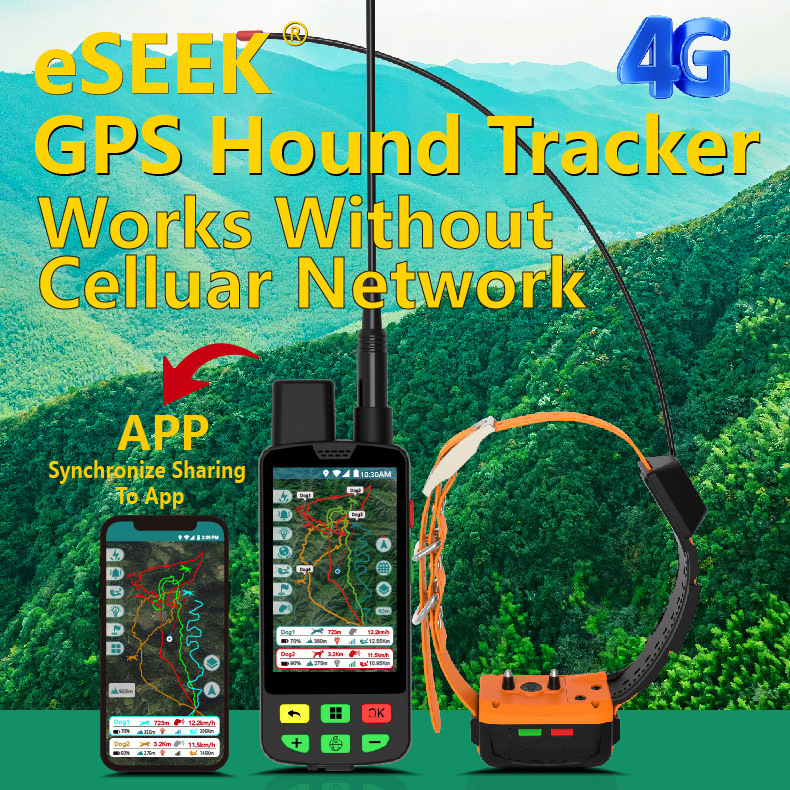 طوق تتبع للكلاب بتقنية GPS 4G  - مراجعة Outdoor Hunting Dog Collar وسعره