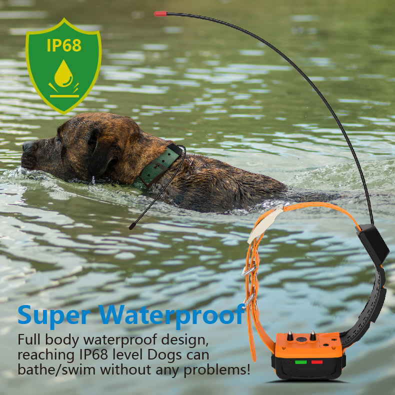 طوق تتبع للكلاب بتقنية GPS 4G  - مراجعة Outdoor Hunting Dog Collar وسعره